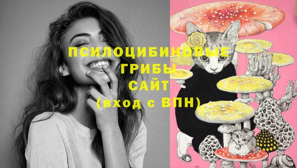 гашик Горнозаводск