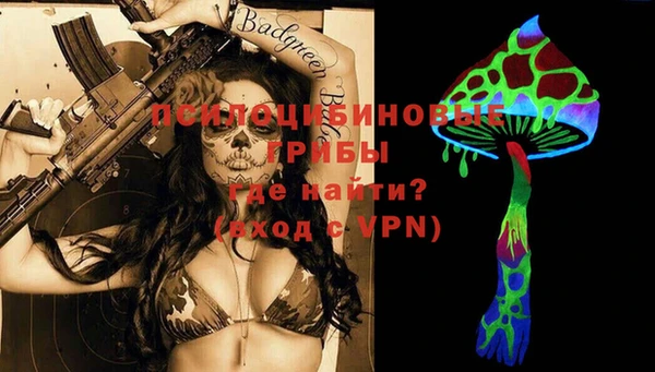 гашик Горнозаводск