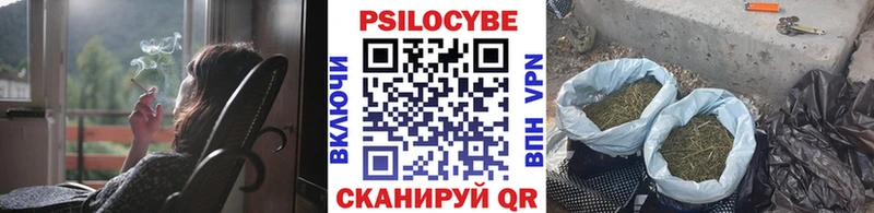 Купить где  Переславль-Залесский  Галлюциногенные грибы GOLDEN TEACHER 